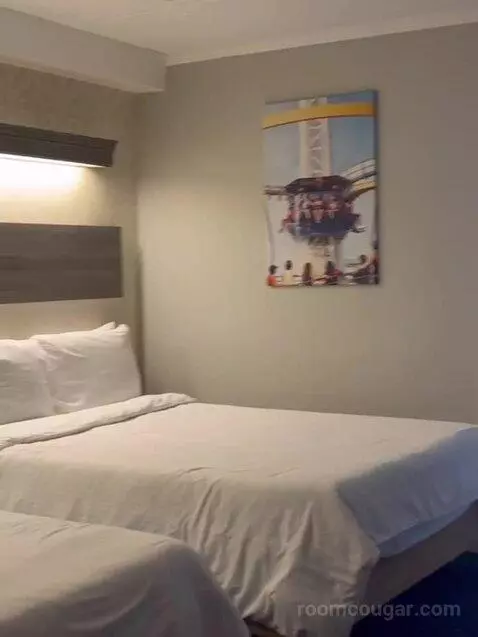 Suite (Catagory E) bed picture #1