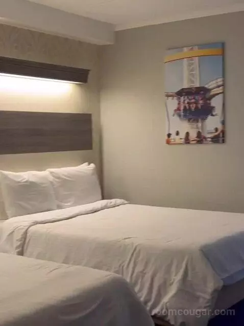 Suite (Catagory E) bed picture #2