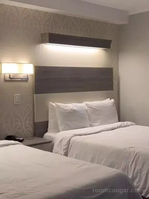 Suite (Catagory E) bed picture #6