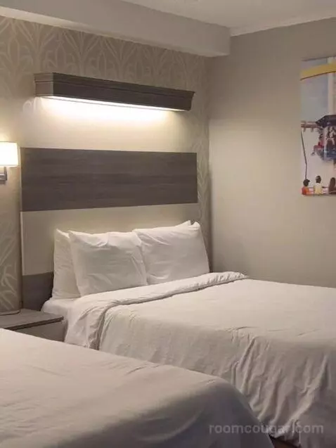 Suite (Catagory E) picture #3