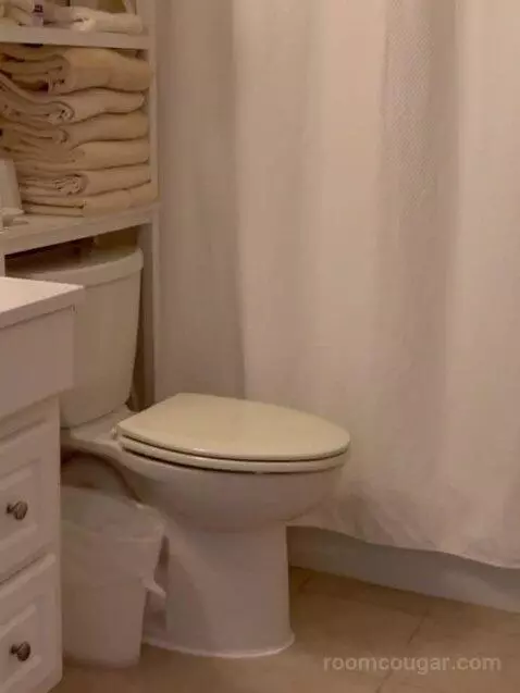 Suite (Catagory E) bathroom picture #9