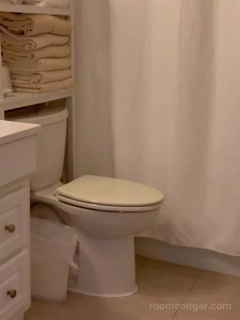 Suite (Catagory E) bathroom picture #10