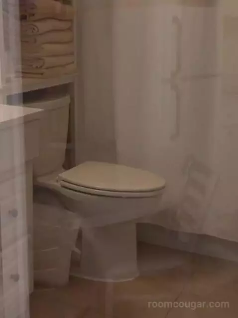 Suite (Catagory E) bathroom picture #12