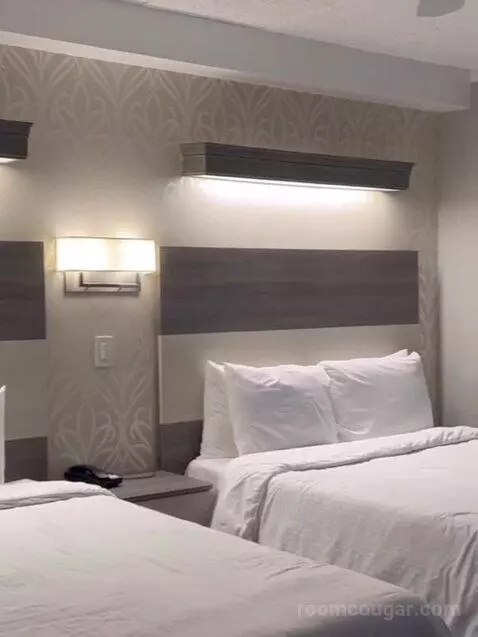 Suite (Catagory E) bed picture #7