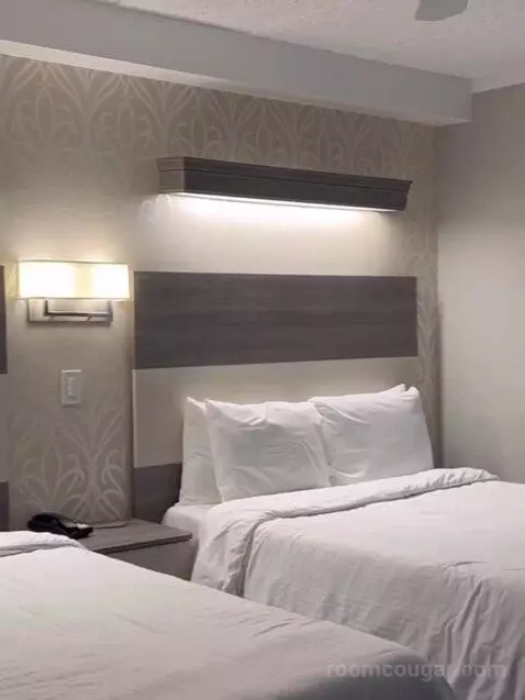 Suite (Catagory E) bed picture #8