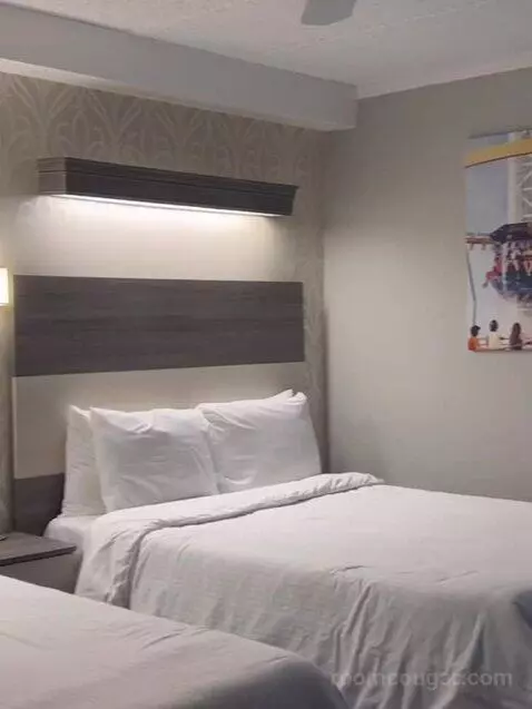 Suite (Catagory E) bed picture #11