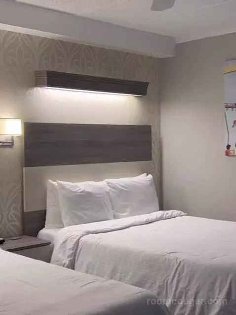 Suite (Catagory E) picture #4