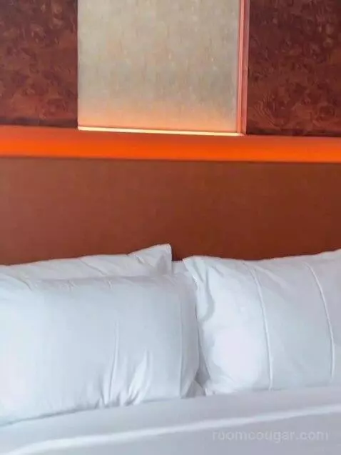 Standard (Room 610) bed picture #5