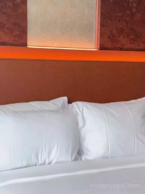 Standard (Room 610) bed picture #6
