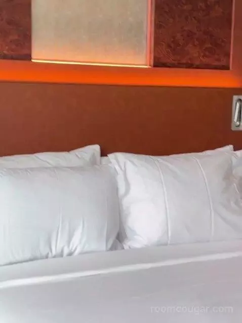 Standard (Room 610) bed picture #7