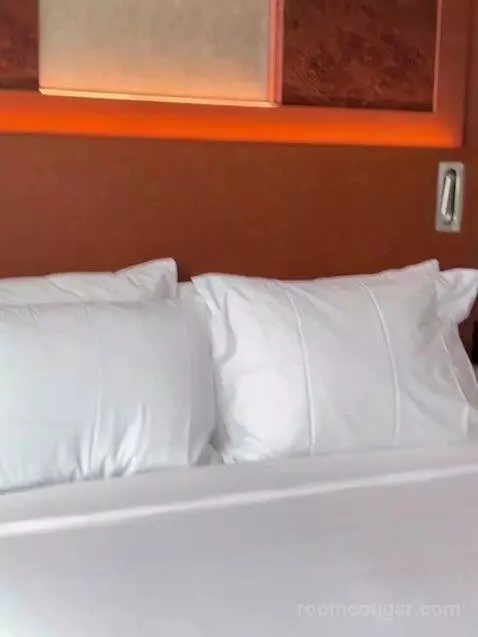 Standard (Room 610) bed picture #8
