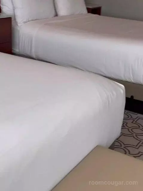 Standard (Room 610) bed picture #9