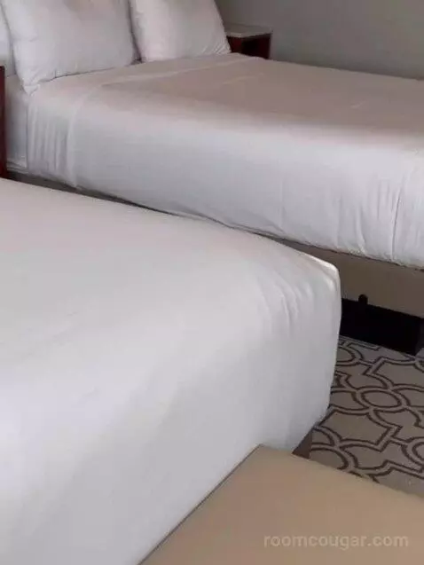 Standard (Room 610) bed picture #10