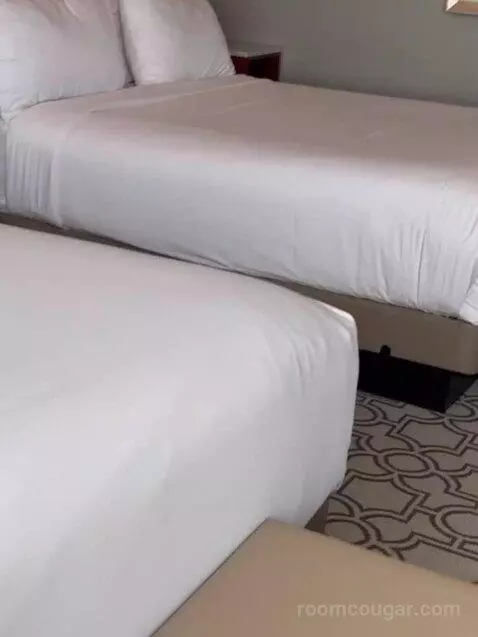 Standard (Room 610) bed picture #11