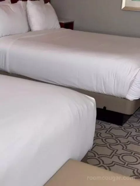Standard (Room 610) bed picture #12