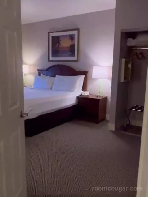 Deluxe King Suite (#5202) bed picture #1