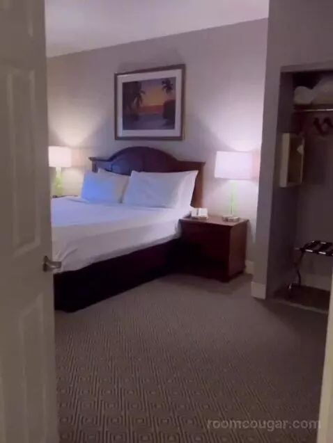 Deluxe King Suite (#5202) bed picture #2