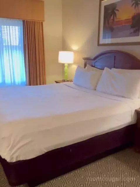 Deluxe King Suite (#5202) bed picture #6