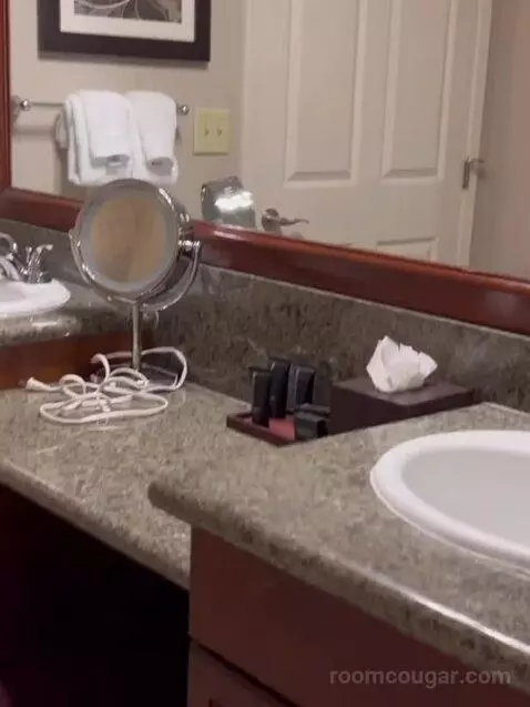 Deluxe King Suite (#5202) bathroom picture #5