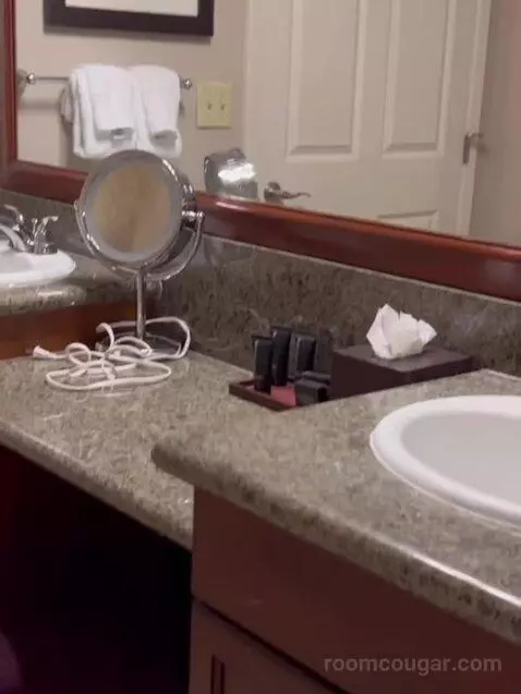 Deluxe King Suite (#5202) bathroom picture #6