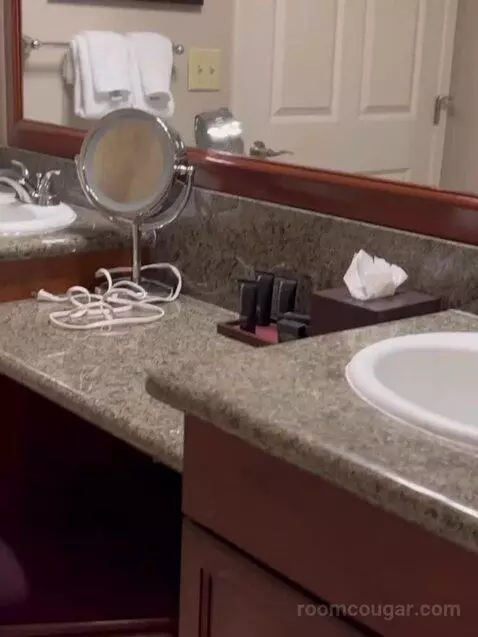 Deluxe King Suite (#5202) bathroom picture #7
