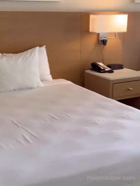 North Classic Room 2 Queen (#720) bed picture #1