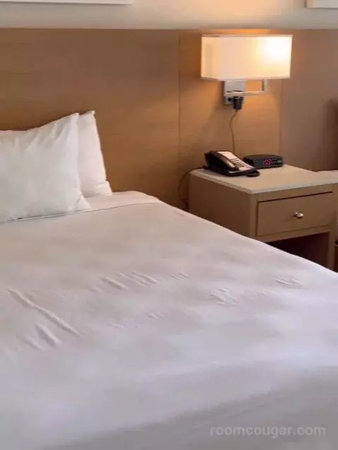 North Classic Room 2 Queen (#720) bed picture #2