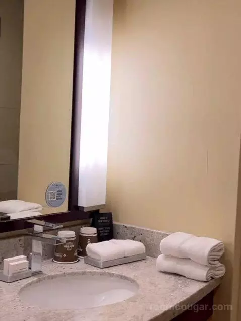 North Tower Corner King (#2862) bathroom picture #5