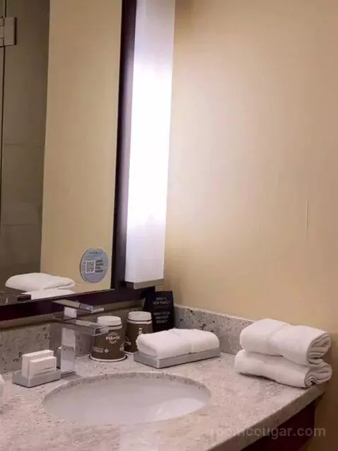 North Tower Corner King (#2862) bathroom picture #6
