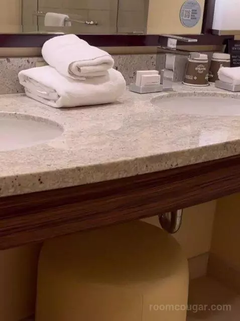 North Tower Corner King (#2862) bathroom picture #10