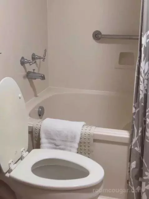 Suite bathroom picture #3