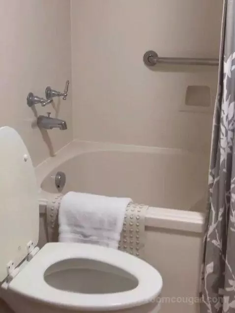 Suite bathroom picture #4