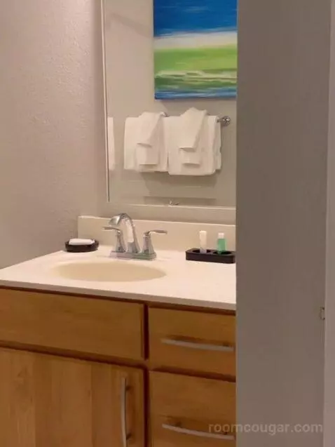Two-Bedroom Suite (#804) bathroom picture #1