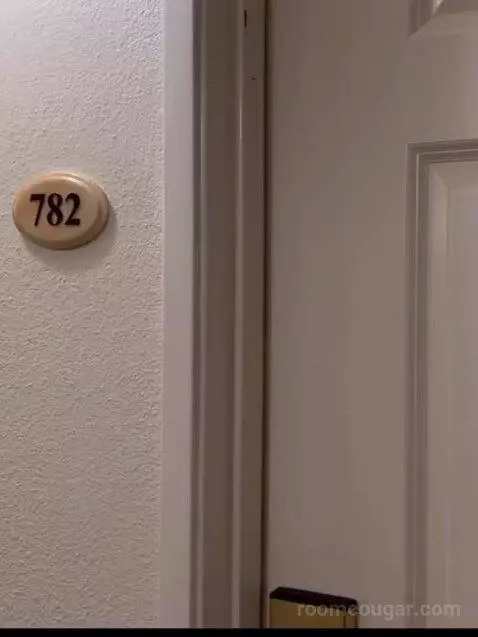 One Bedroom King Suite (#782) picture #1