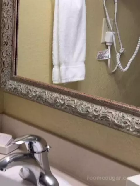One Bedroom King Suite (#782) bathroom picture #8