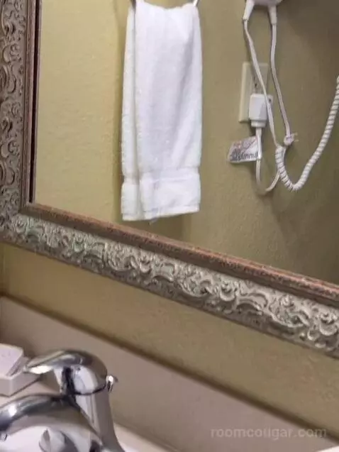 One Bedroom King Suite (#782) picture #15