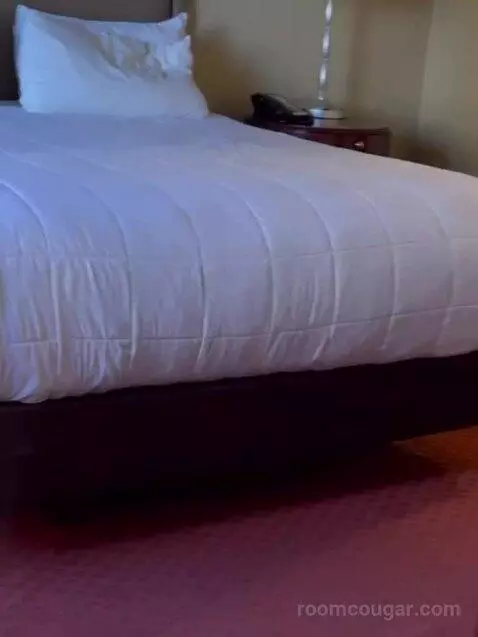 One Bedroom King Suite (#782) bed picture #11