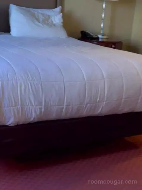 One Bedroom King Suite (#782) bed picture #12