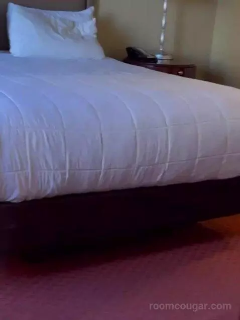 One Bedroom King Suite (#782) picture #19