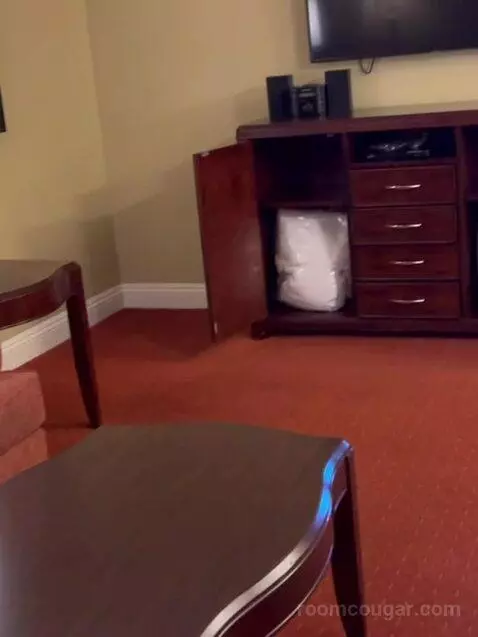 One Bedroom King Suite (#782) picture #5
