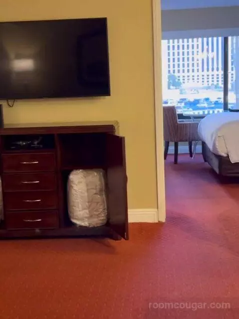 One Bedroom King Suite (#782) picture #6