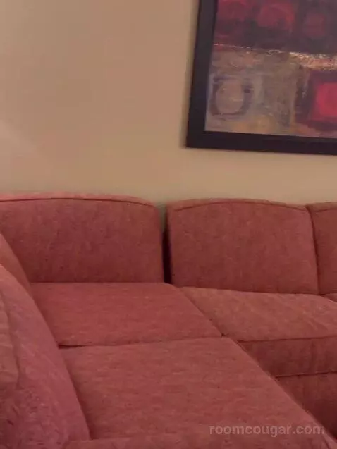 One Bedroom King Suite (#782) picture #8