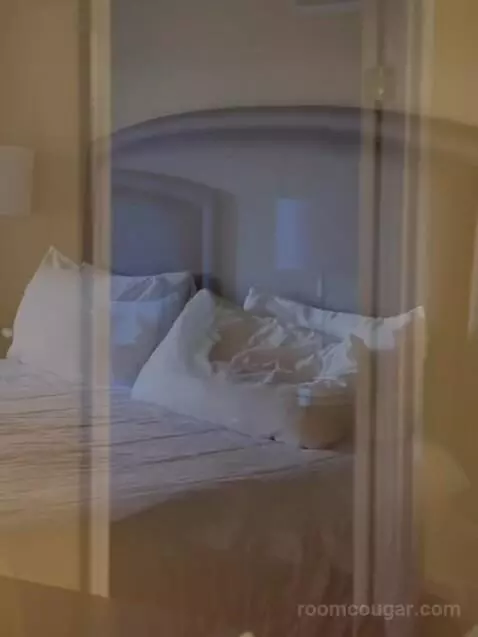 One Bedroom King Suite (#782) picture #9