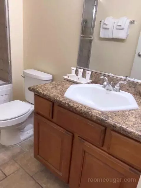Studio Suite bathroom picture #5