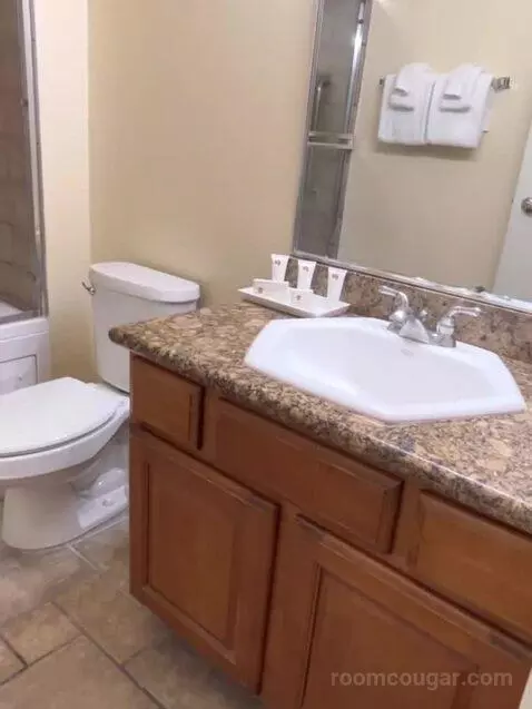 Studio Suite bathroom picture #6