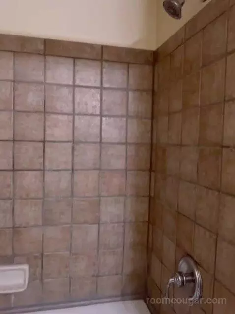 Studio Suite bathroom picture #7