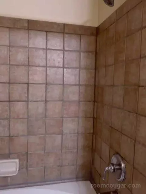 Studio Suite bathroom picture #8