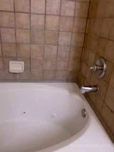 Studio Suite bathroom picture #9