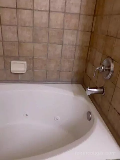 Studio Suite bathroom picture #10
