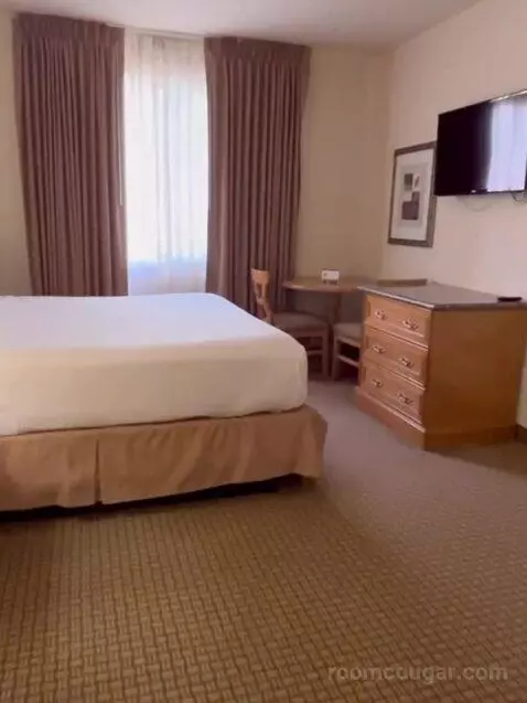 Studio Suite bed picture #5